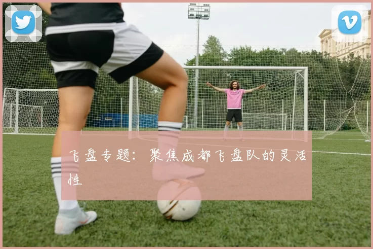 飞盘专题：聚焦成都飞盘队的灵活性