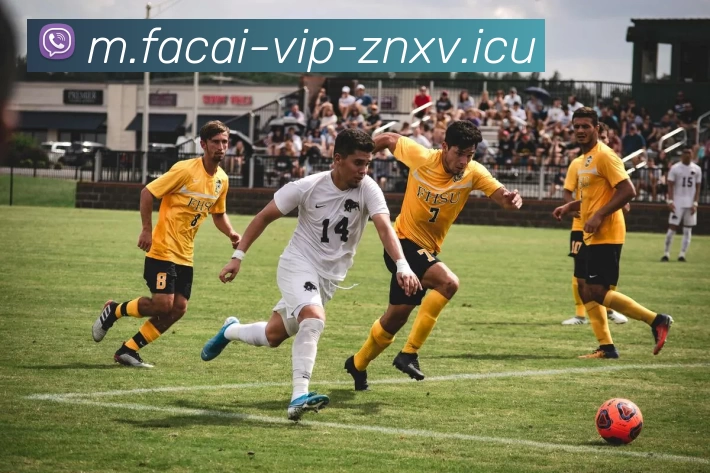 星空体育注册服务体系